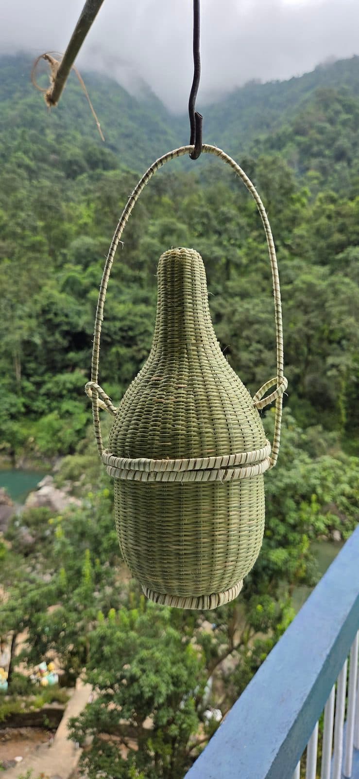 Tall bamboo bottle sleeve in green bamboo