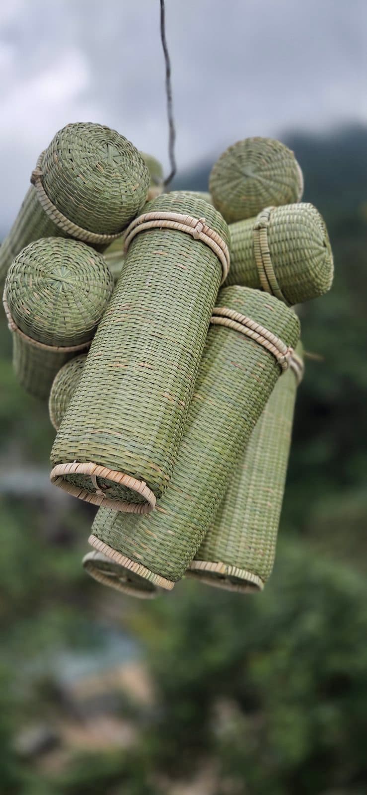 Group of lidded cylindrical bamboo containers in green bamboo