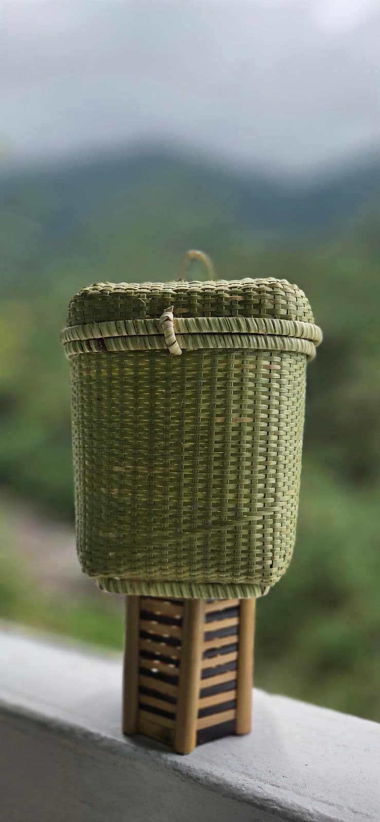 Cane laundry basket with bound top rim