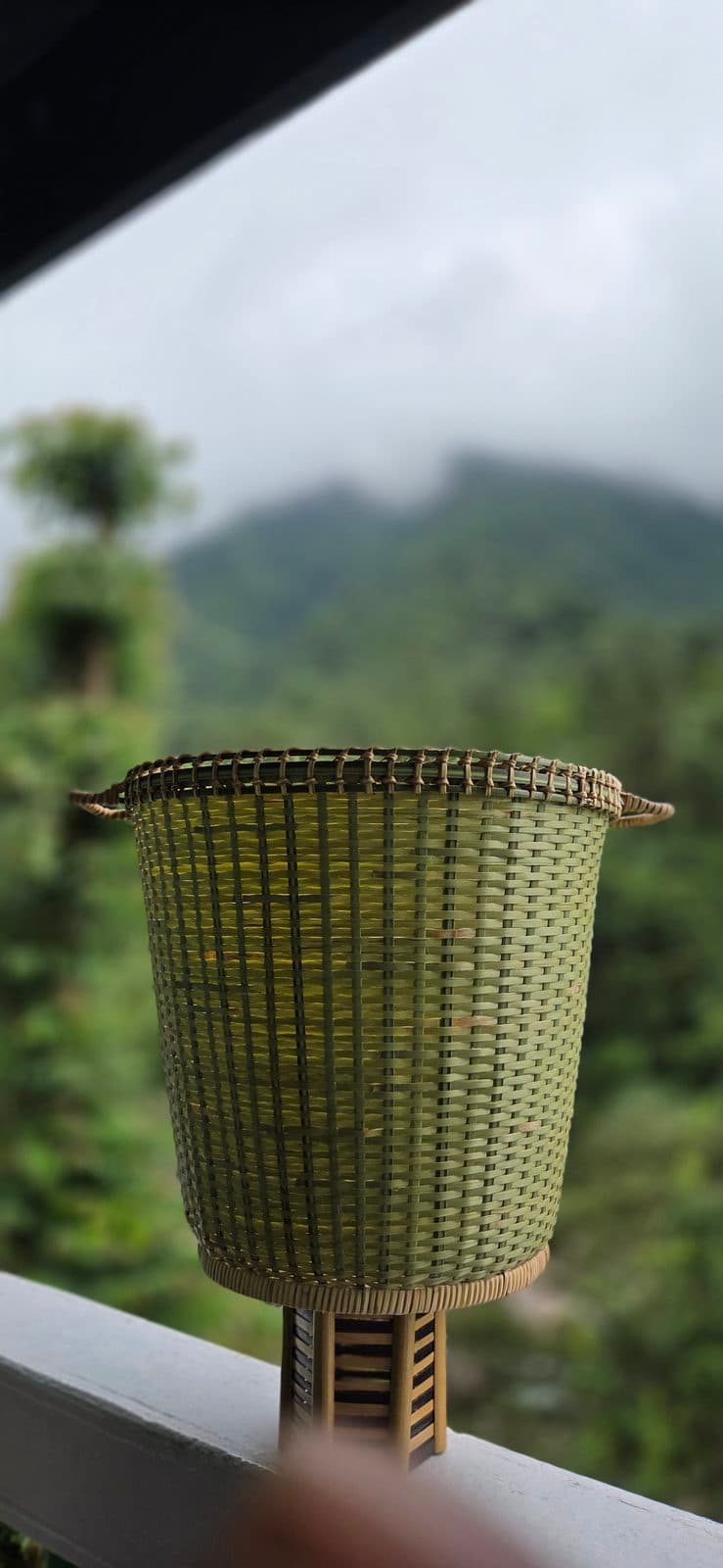 Tall cane basket in close horizontal weave