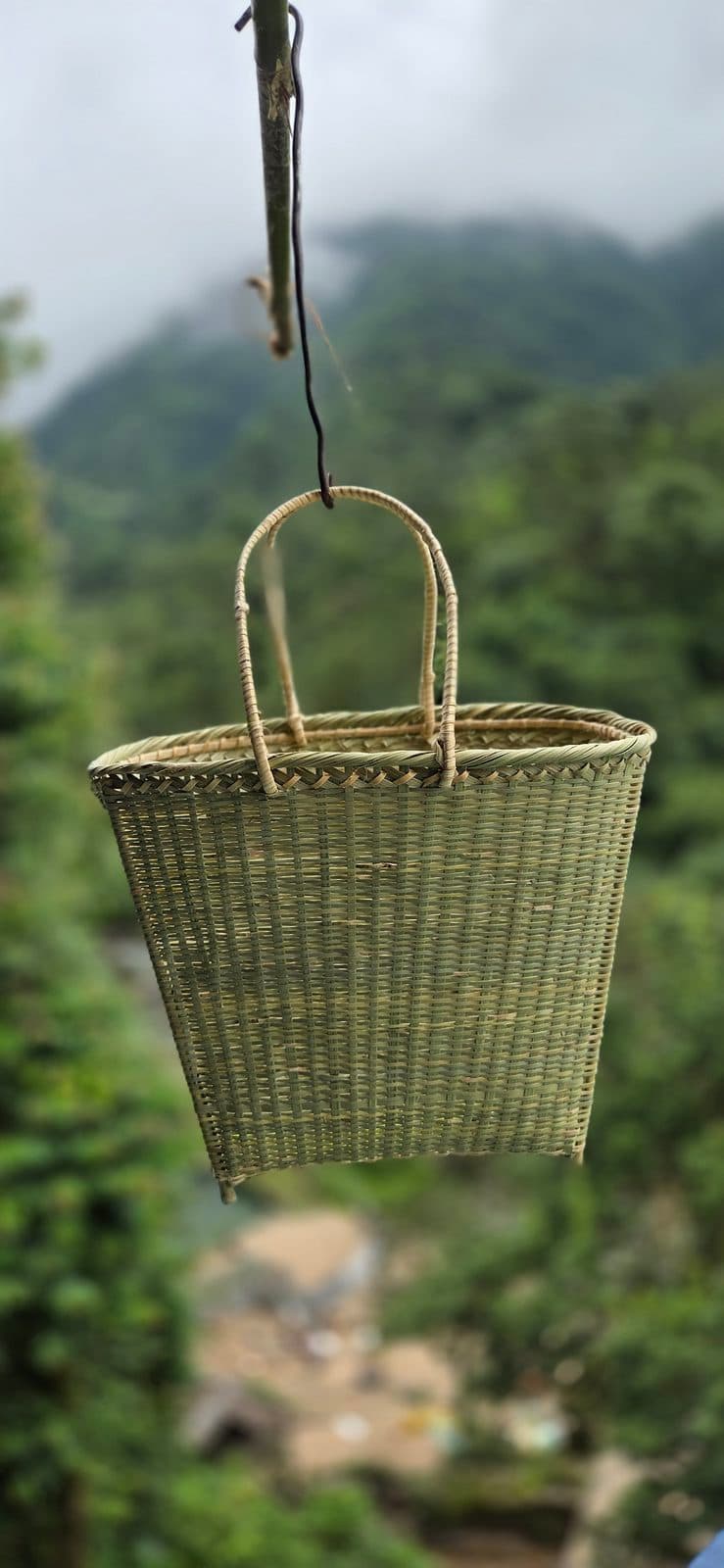 Cane shopping basket with looped handles